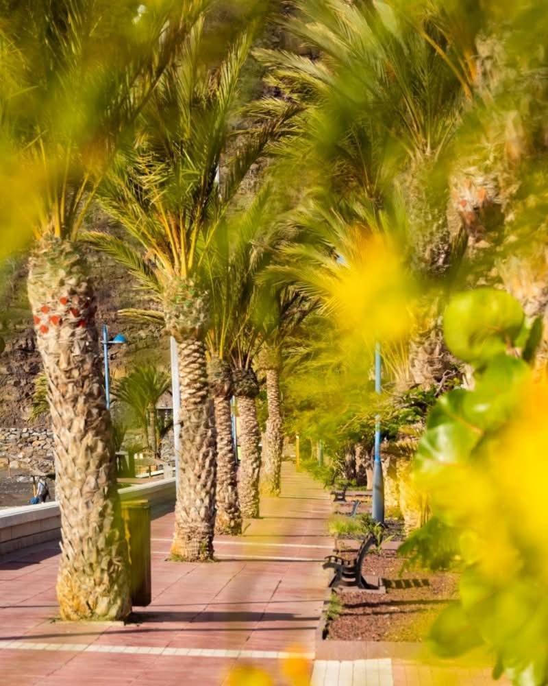 Apartament El Balcon De Colon San Sebastián de la Gomera Zewnętrze zdjęcie